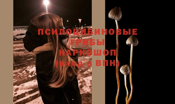 стаф Алзамай
