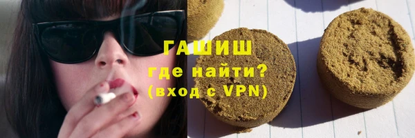 стаф Алзамай