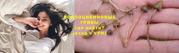 каннабис Аркадак