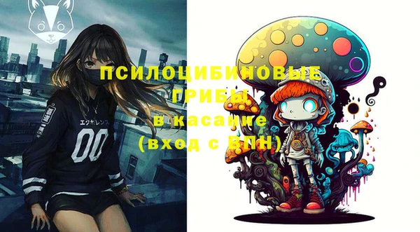 a pvp Алексин