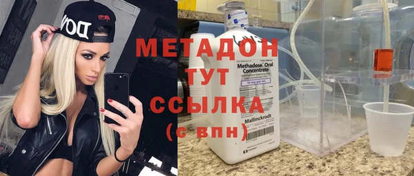 стаф Алзамай