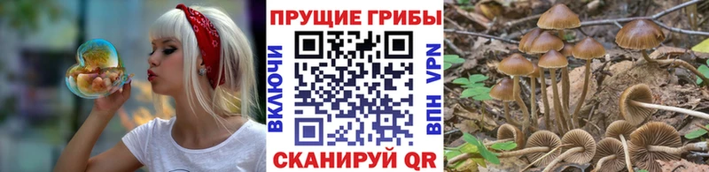 площадка наркотические препараты  Печоры  Галлюциногенные грибы мухоморы 