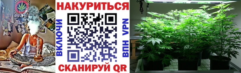Канабис OG Kush  OMG ссылка  Печоры  где продают  